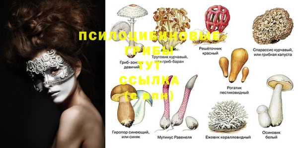 прущая мука Баксан